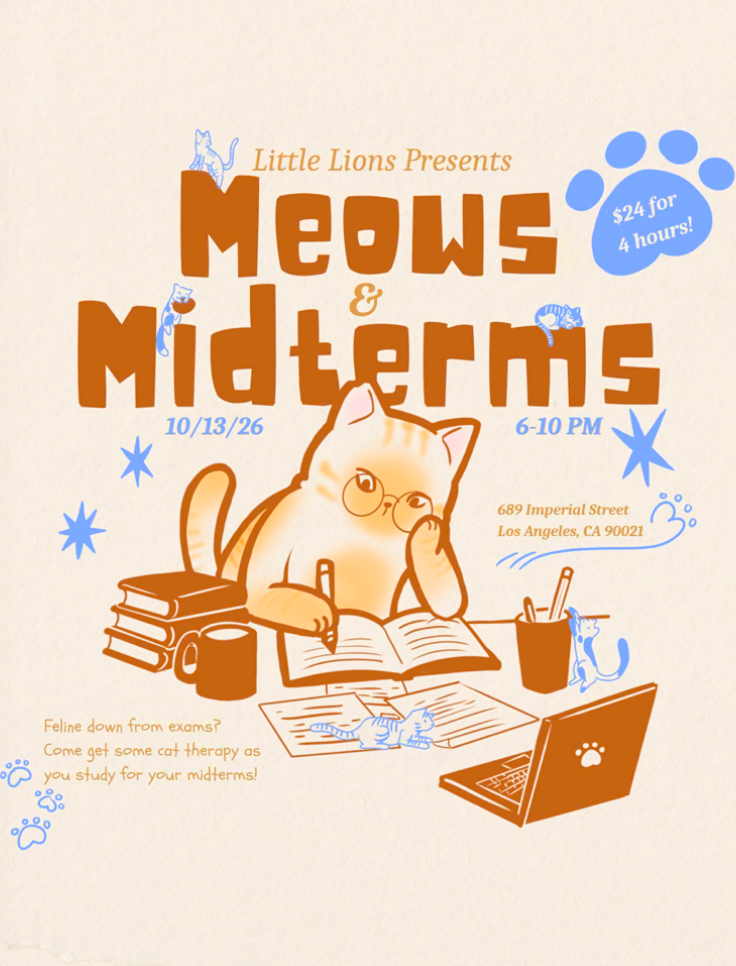 ✧˖°.☾ Meows & Midterms ⊹ ࣪ ˖